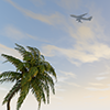 Vacation ｜ Palm Trees ｜ Sky-Sightseeing Travel ｜ Free Illustrations