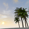 Vacation ｜ Palm Trees ｜ Sky-Sightseeing Travel ｜ Free Illustrations