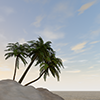 Palm Trees | Sea | Vacation-Sightseeing Travel | Free Illustrations
