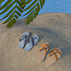 Sea ｜ Palm Trees ｜ Dusk-Sightseeing Trip ｜ Free Illustration Material