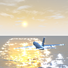 Passenger plane ｜ Sea ｜ Dusk --Sightseeing trip ｜ Free illustration material